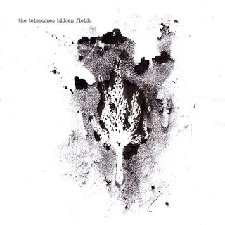 THE TELESCOPES - Hidden Fields (+ Cd)