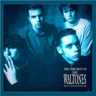 THE WALTONES - The Very Best Of The Waltones