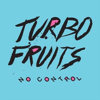 TURBO FRUITS - No Control (Lp)
