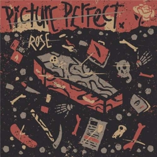 PICTURE PERFECT - Rose (Vinyl)