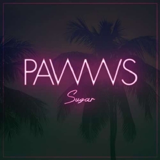 PAWWS - Sugar -4tr-