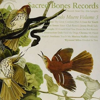 VARIOUS ARTISTS - Todo Muere Volume 5