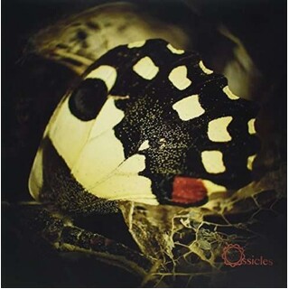 OSSICLES - Music For Wastelands