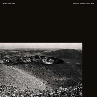 A DEAD FOREST INDEX - In All That Drifts From Summit Down (Dlcd)