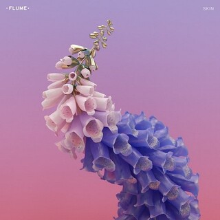 FLUME - Skin (Vinyl)