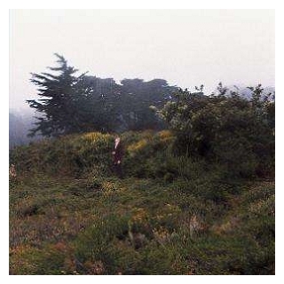 REDREDRED - Pattern Completion