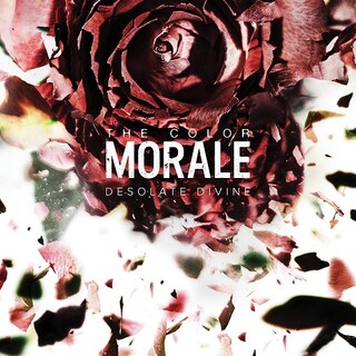 COLOR MORALE - Desolate Divine (Vinyl)