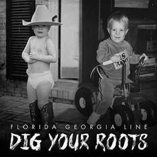 FLORIDA GEORGIA LINE - Dig Your Roots (Gate)