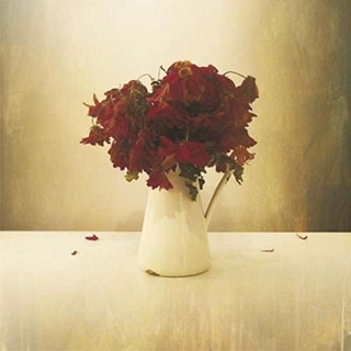 THE LION AND THE WOLF - Cardiac Hotel, The (Lp)