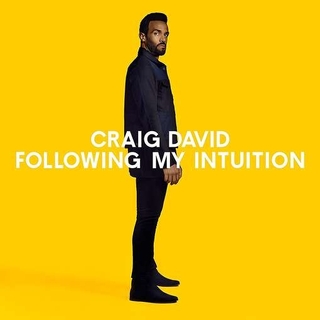CRAIG DAVID - Following My Intuition (+cd)
