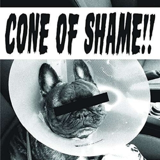 FAITH NO MORE - Cone Of Shame (Colv) (Grn)
