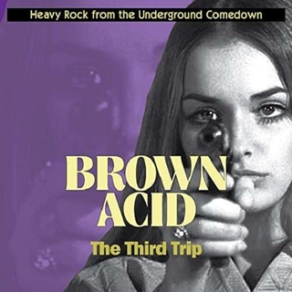 VARIOUS ARTISTS - Brown Acid: Third Trip
