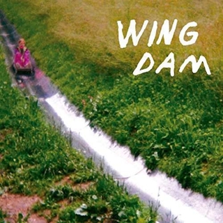 WING DAM - Glow Ahead