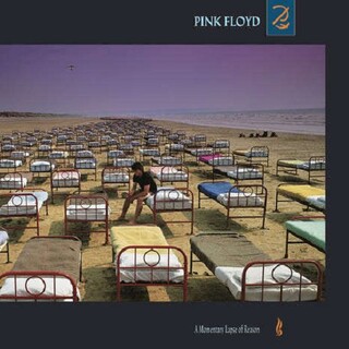 PINK FLOYD - A Momentary Lapse Of Reason