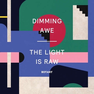 BOTANY - Dimming Awe: The Light Is Raw