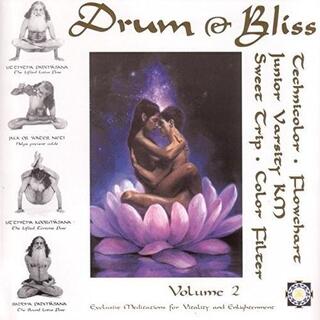 VARIOUS ARTISTS - Drum &amp; Bliss 2