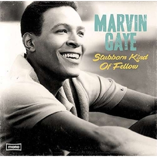 MARVIN GAYE - Stubborn Kind Of Fellow