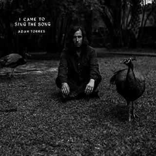 ADAM TORRES - I Came To Sing The Song