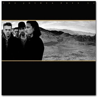 U2 - Joshua Tree: 30th Anniversary Edition (Vinyl)