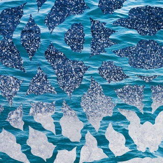 EL NINO &amp; THE SOUTHERN OSCILLATIONS - El Nino &amp; The Southern Oscillations