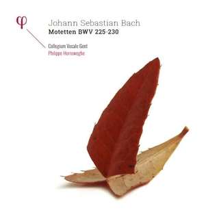 J.S. / COLLEGIUM VOCALE GENT / HERREWEGHE BACH - Johann Sebastian Bach: Motetten Bwv 225-230