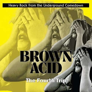 VARIOUS ARTISTS - Brown Acid: Fourth Trip