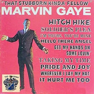 MARVIN GAYE - That Stubborn Kinda..