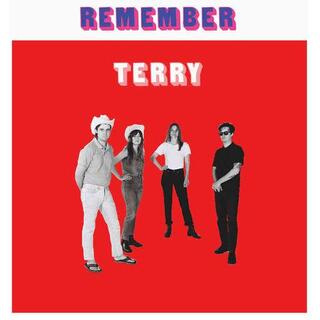 TERRY - Remember Terry (180g/download)