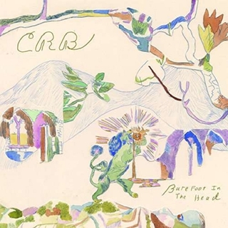CHRIS ROBINSON BROTHERHOOD - Barefoot In The Head