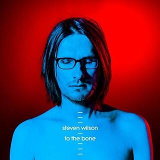 STEVEN WILSON - To The Bone (2lp)