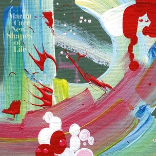 MARTIN CARR - New Shapes Of Life (+cd)