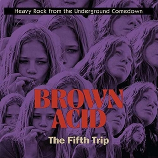 VARIOUS ARTISTS - Brown Acid - The Fifth Trip