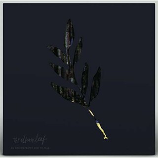 ALBUM LEAF - An Orchestrated Rise To Fall