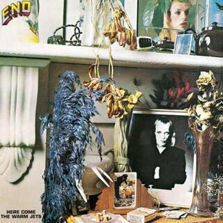 BRIAN ENO - Here Come The Warm Jets (Lp)