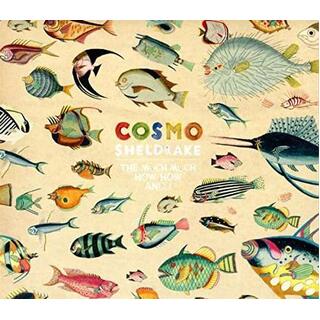 COSMO SHELDRAKE - The Much Much How How And I (Lp)