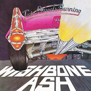 WISHBONE ASH - Twin Barrels Burning: Remastered Edition (Picture Disc)