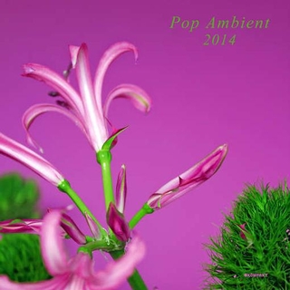 VARIOUS ARTISTS - Pop Ambient 2014
