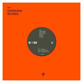 GONDWANA ORCHESTRA - Colors