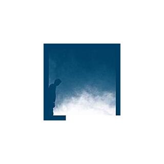 DAVID ALLRED - The Transition (Lp)