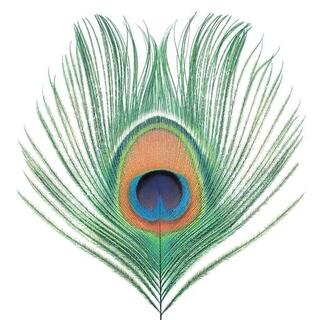 XTC - Apple Venus Vol. I (Vinyl)