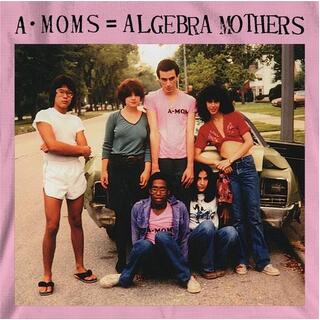 ALGEBRA MOTHERS - A-moms = Algebra Mothers