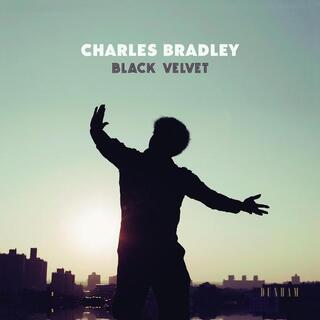 CHARLES BRADLEY - Black Velvet