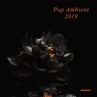 VARIOUS ARTISTS - Pop Ambient 2019