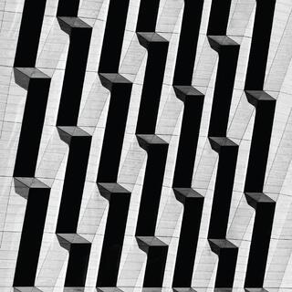 SNOW PALMS - Everything Ascending