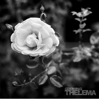 THELEMA - Growing (180g Solid Black)
