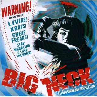 VARIOUS ARTISTS - Big Neck Record Store Day Compilation