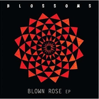 BLOSSOMS - Blown Rose