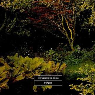 14 ICED BEARS - Wonder