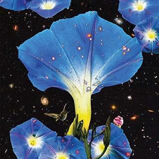 SARAH LOUISE - Nighttime Birds And Morning Stars