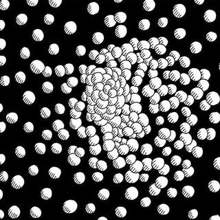 MATIAS AGUAYO &amp; THE DESDEMONAS - Cold Fever